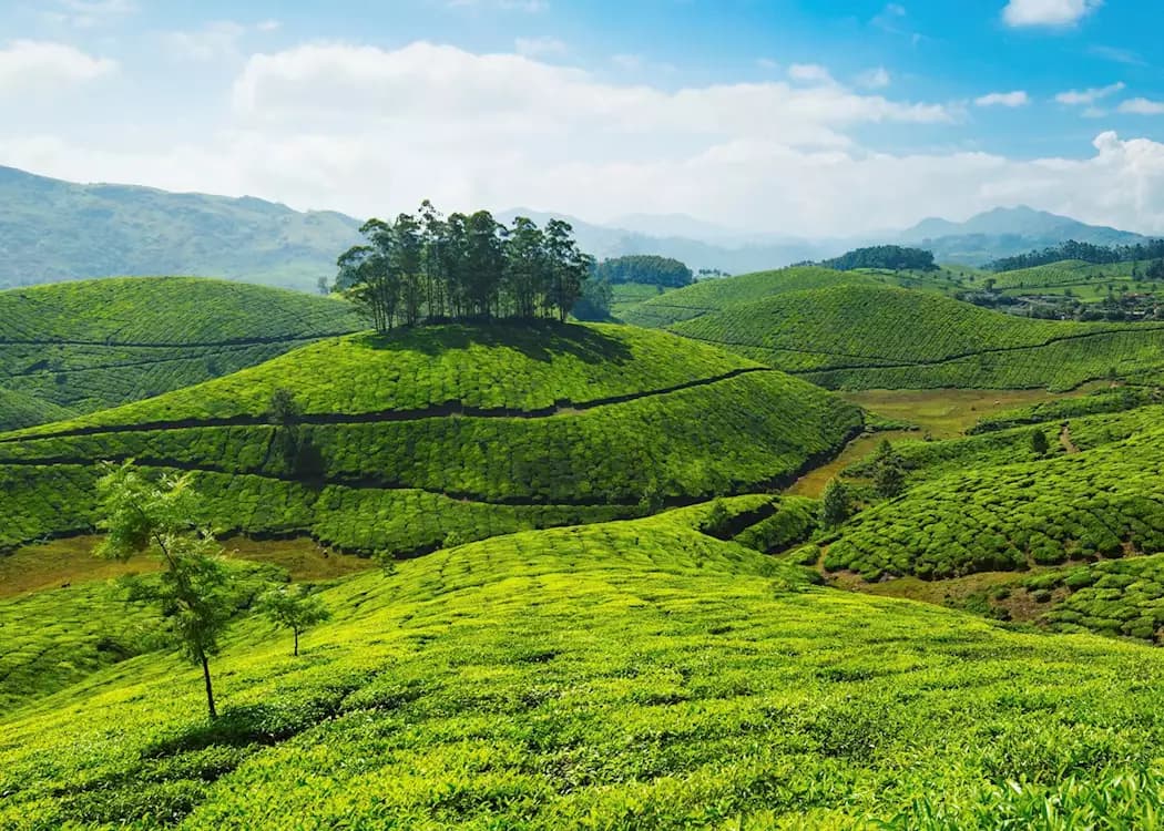 Munnar