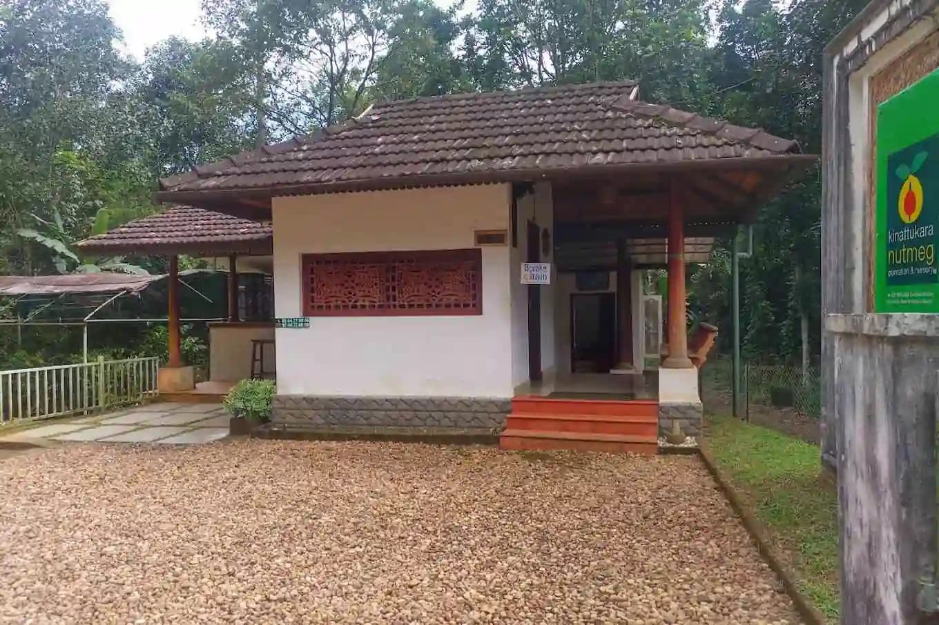 Kinattukara Nutmeg Plantation and Nursery photo 1 - Photos of Kinattukara Nutmeg Plantation and Nursery