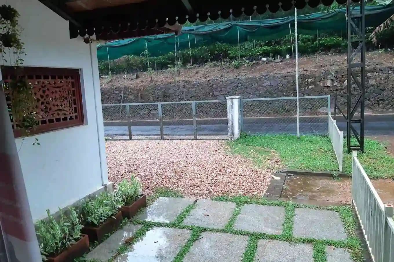 Kinattukara Nutmeg Plantation and Nursery photo 2 - Photos of Kinattukara Nutmeg Plantation and Nursery