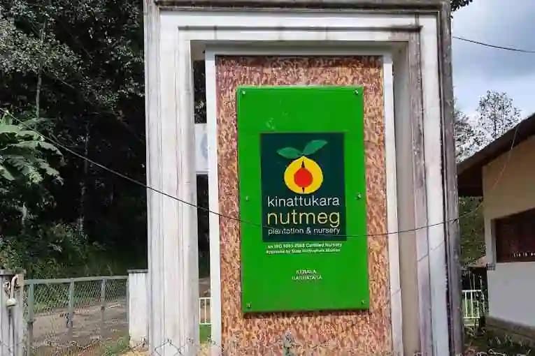 Photos of Kinattukara Nutmeg Plantation and Nursery
