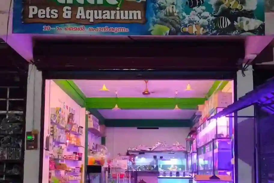 Little pets & Aquariam Ponkunnam