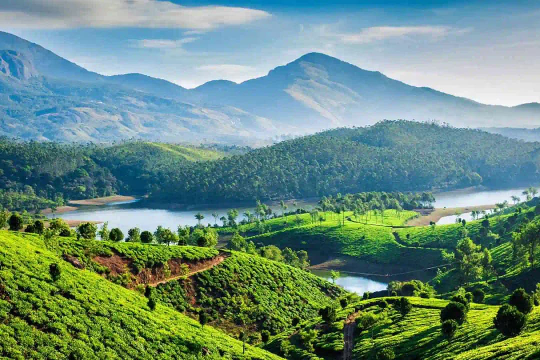 Pothamedu View Point