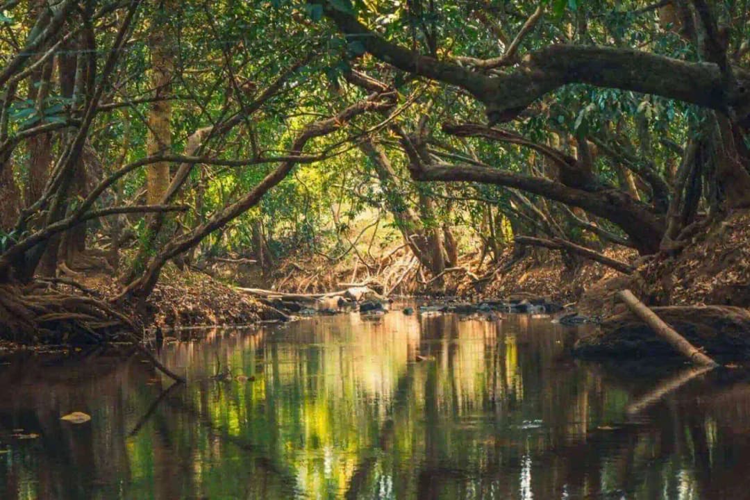 Photos of Kuruvadweep