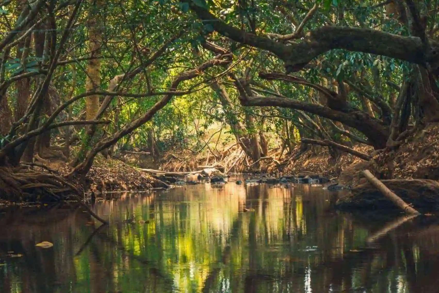 Kuruvadweep photo 1 - Photos of Kuruvadweep