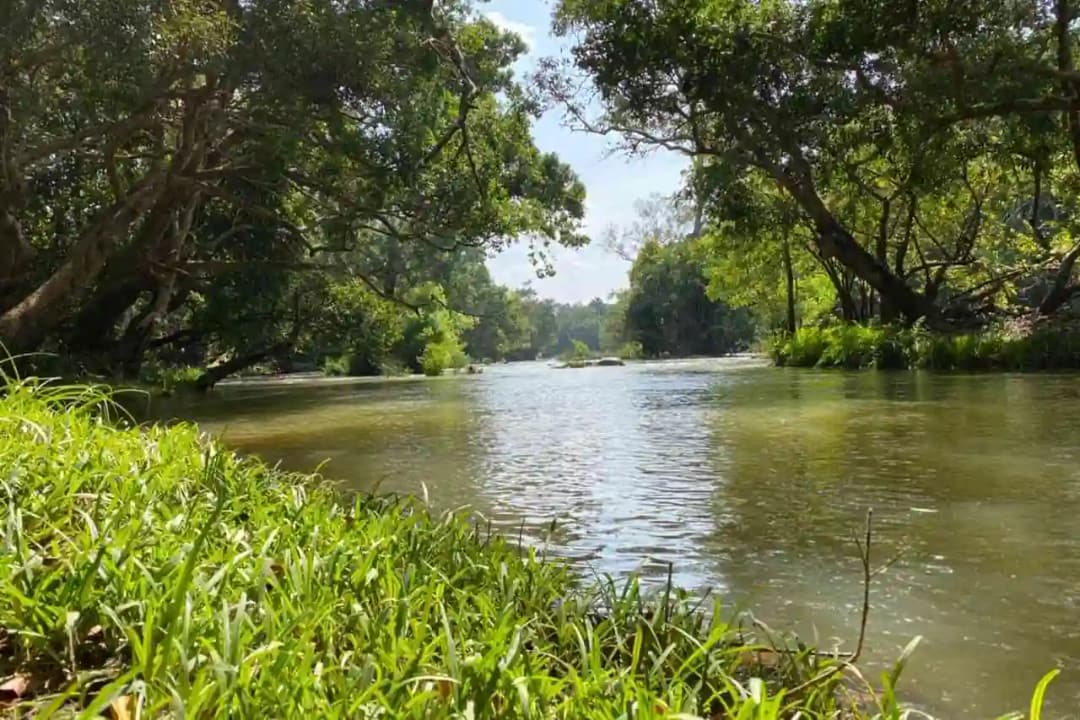 Photos of Kuruvadweep