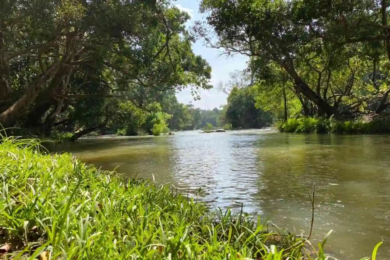 Kuruvadweep photo 3 - Photos of Kuruvadweep