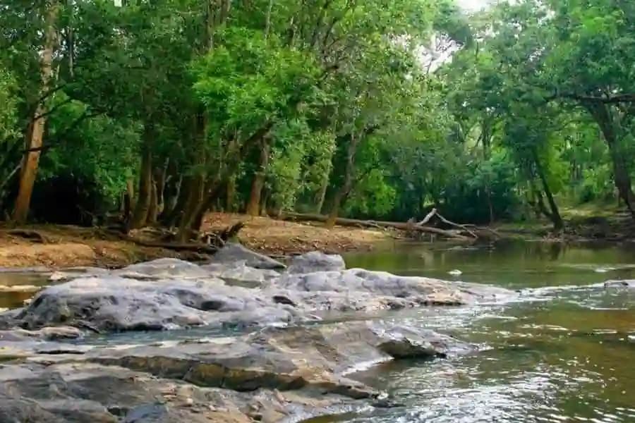 Photos of Kuruvadweep