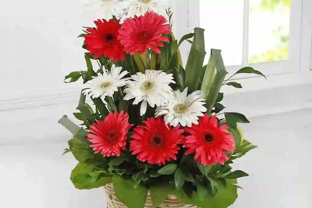 Photos of FLOWES AND BOUQUET KOTTAYAM