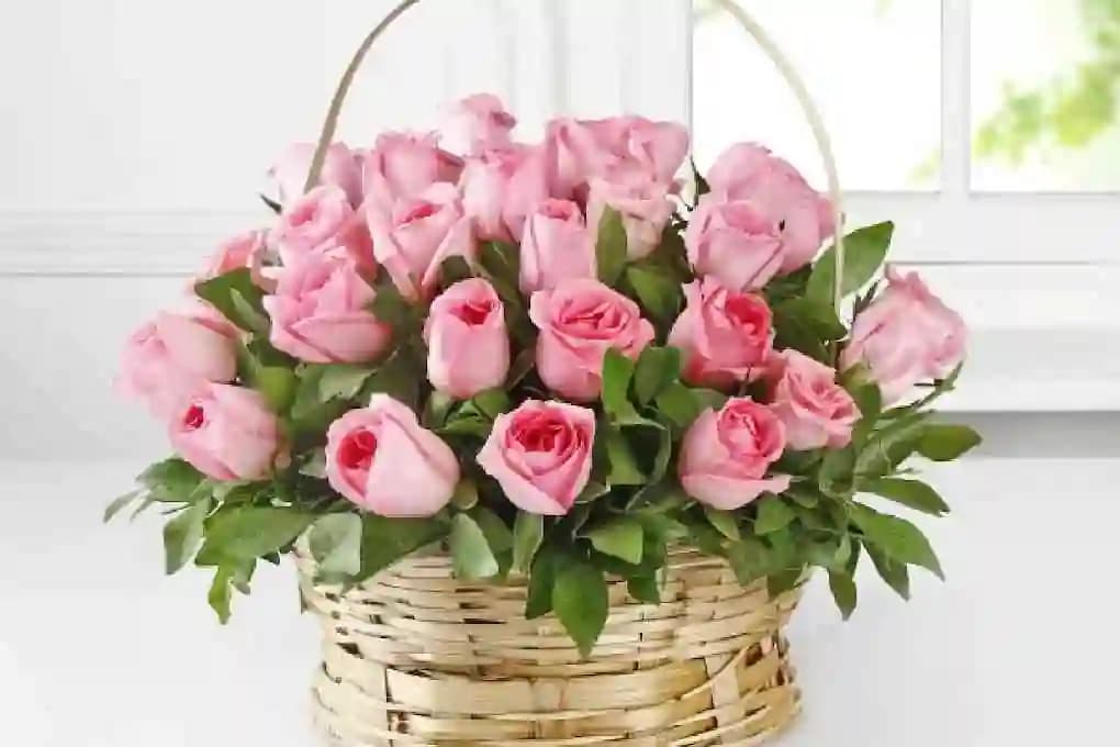 Photos of FLOWES AND BOUQUET KOTTAYAM