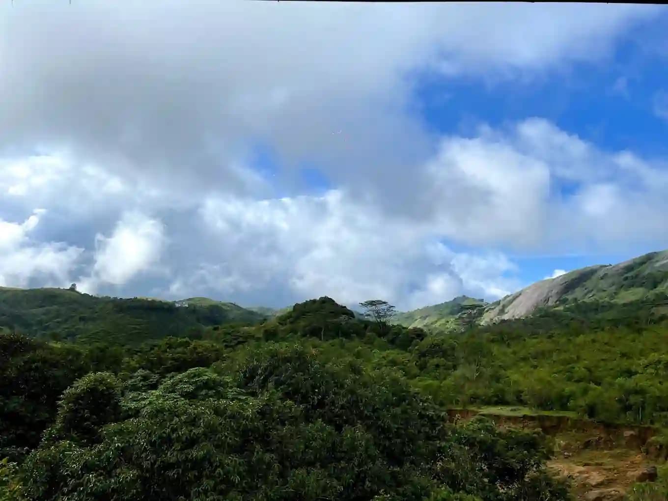 Twin Residency photo 2 - Photos of Twin Residency