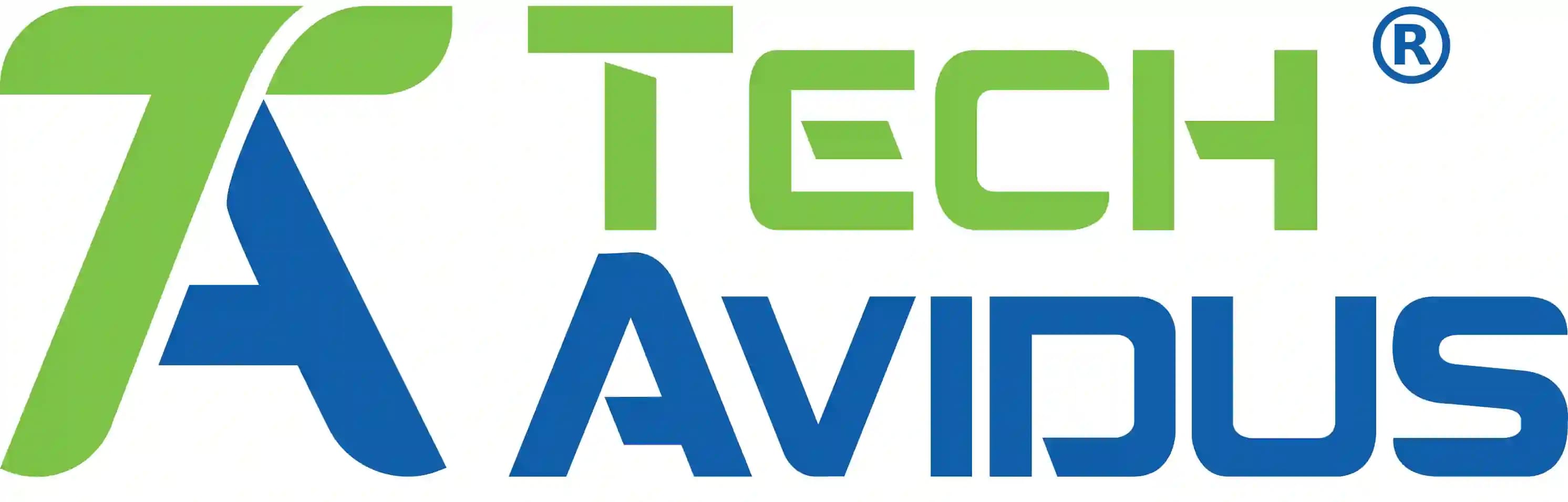 TechAvidus Pvt Ltd - Software Company in Gandhinagar, Gujarat