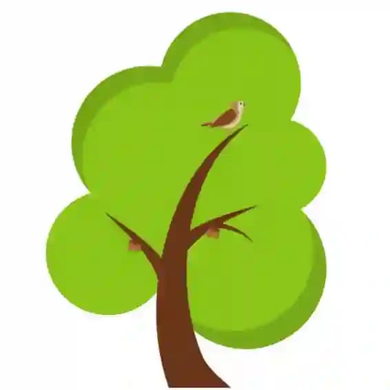 Hiteshi Infotech - Software Company in INDORE, Madhya Pradesh